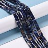 Natural Sodalite Beads Strands G-C240-04A-2