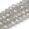 Glass Beads Strands EGLA-A034-J6mm-D10-1