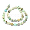 Natural Turquoise Beads Strands G-O201B-66A-3