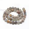 Natural Black Sunstone Beads Strands G-R446-8mm-33-2