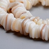 Natural Freshwater Shell Beads Strands X-SHEL-D078-01B-3
