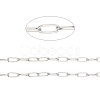 Tarnish Resistant 304 Stainless Steel Paperclip Chains CHS-F010-01B-P-1