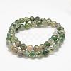 Natural Moss Agate Beads Strands G-F453-6mm-2