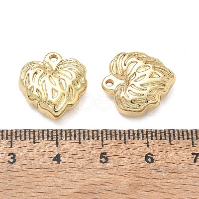 304 Stainless Steel Pendants SA-CBA3037-20G-10-1