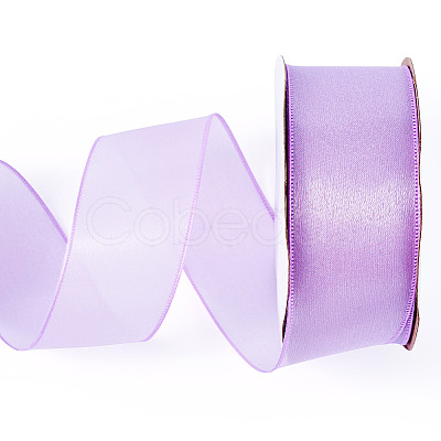 Polyester Organza Ribbon TAC0006-01D-1