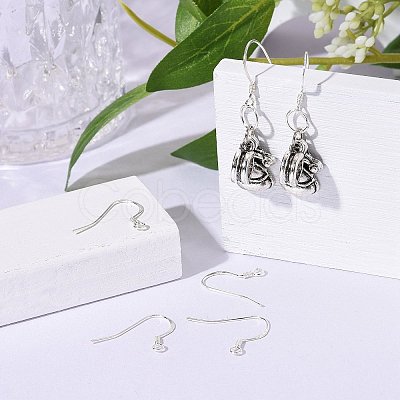 925 Sterling Silver Earring Hooks STER-K167-049D-S-1