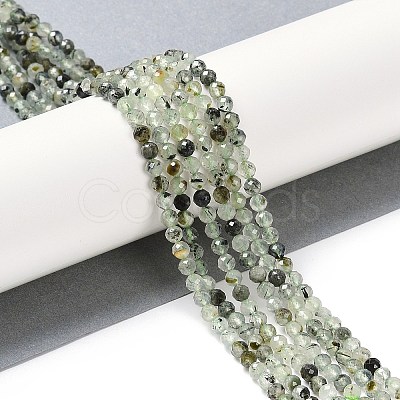 Natural Prehnite Beads Strands G-G139-A17-03-1