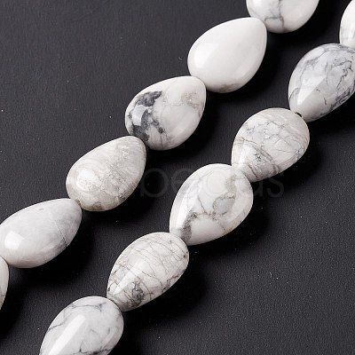 Natural Howlite Beads Strands G-L242-13-1