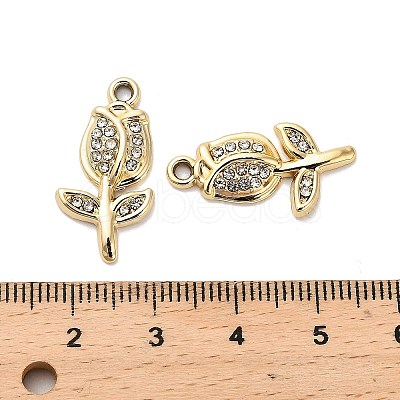 Alloy Crystal Pendants FIND-I043-03G-1