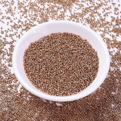 MIYUKI Delica Beads X-SEED-J020-DB1836-1
