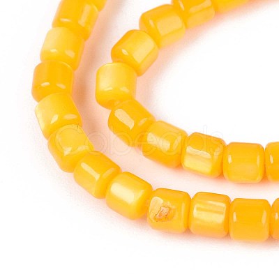 Dyed Natural Freshwater Shell Beads Strands SHEL-T020-56B-1