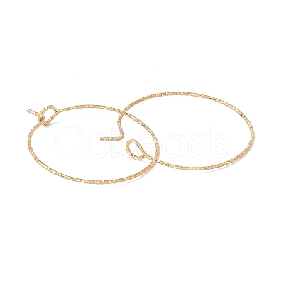 Ion Plating(IP) 316 Surgical Stainless Steel Hoop Earrings Findings X-STAS-D183-02G-02-1