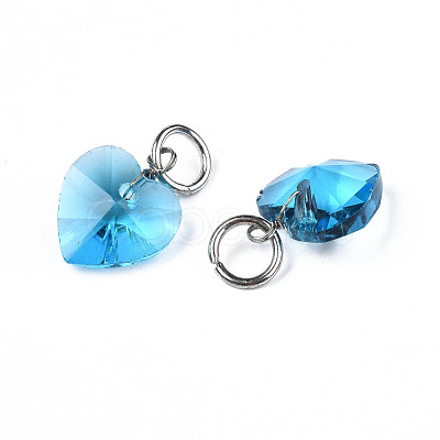 Faceted Transparent Glass Charms GLAA-T024-04E-1