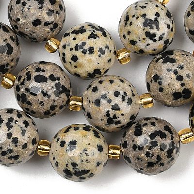 Natural Dalmatian Jasper Beads Strands G-C249-A02-16mm-1