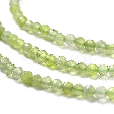 Natural Xiuyan Jade Beads Strands G-Z074-A04-01-1