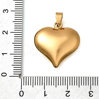 304 Stainless Steel Pendants STAS-H200-01G-10-1