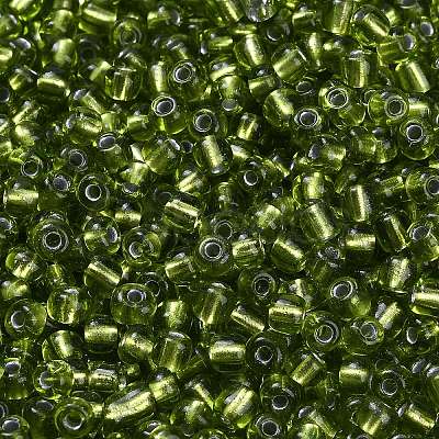 6/0 Round Silver Lined Round Hole Glass Seed Beads X-SEED-A005-4mm-24-1