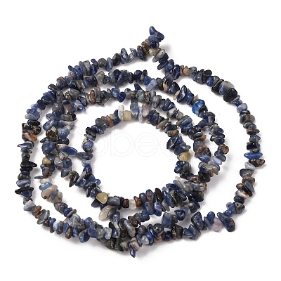 Natural Sodalite Chips Beads Strands X-F024-1