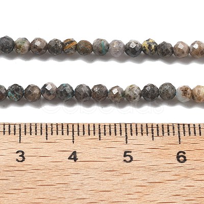 Natural HuBei Turquoise Beads Strands LS-G-G140-A05-05-1