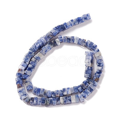 Natural Blue Spot Jasper Beads Strands G-K326-04-1