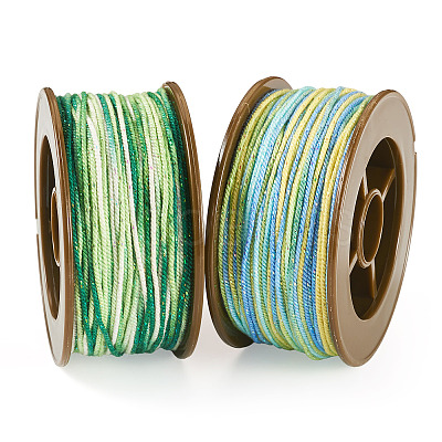 2 Rolls 2 Colors Segment Dyed Round Polyester Twisted Cords OCOR-TA0003-59A-1