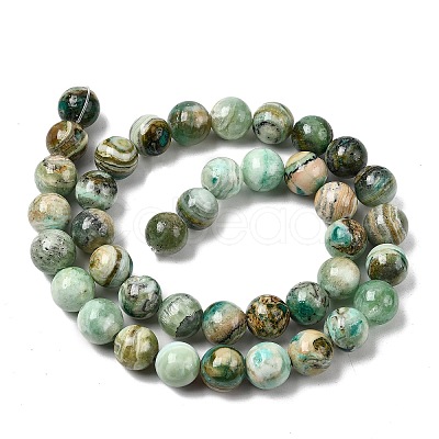 Natural Green Line Jasper  Beads Strands G-L639-A01-12mm-1