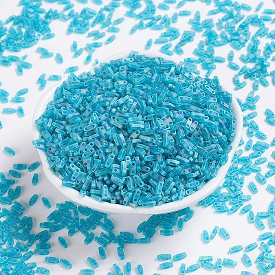 MIYUKI Quarter TILA Beads SEED-MY05-QTL2405FR-1