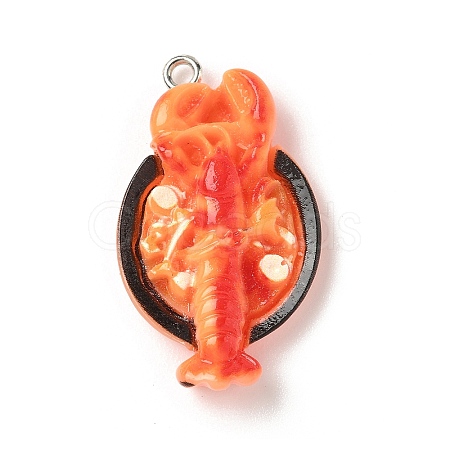 Opaque Resin Pendants FIND-A058-05C-1