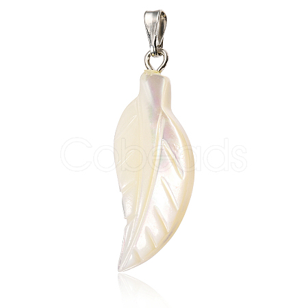 Natural Trochid Shell/Trochus Shell Pendants BSHE-CJC0002-13-1