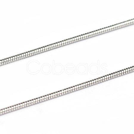 Tarnish Resistant 3.28 Feet 304 Stainless Steel Snake Chains X-CHS-L001-163-0.9mm-1
