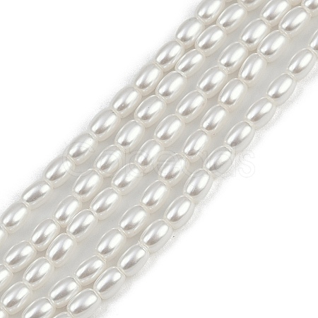 Electroplated Shell Pearl Beads Strands BSHE-H113-06B-06-1