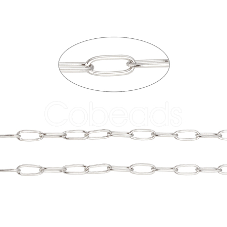 Tarnish Resistant 304 Stainless Steel Paperclip Chains CHS-F010-01B-P-1