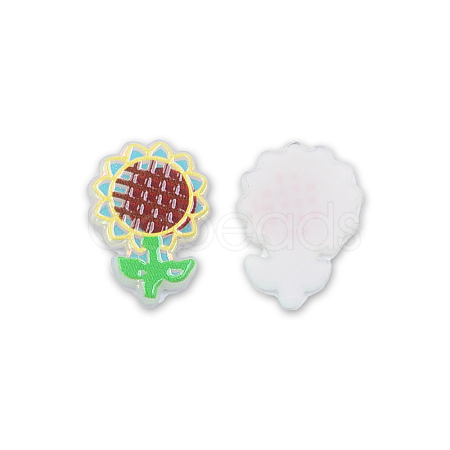 Plate Acrylic Cabochons OACR-N135-15-1
