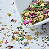 Plastic Candy Sequins/Paillette Chip X-DIY-I019-01N-1