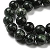 Natural Serpentine Beads Strands G-P504-10mm-01-4