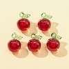 Transparent Korea Acrylic Pendants OACR-FS0001-43-3