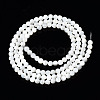 Natural Trochid Shell/Trochus Shell Beads Strands SSHEL-S266-023A-01-2