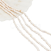 Nbeads 2 Strands Natural Cultured Freshwater Pearl Beads Strands PEAR-NB0002-35-1