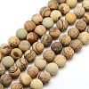 Frosted Natural Picture Jasper Round Bead Strands G-M064-10mm-05-1