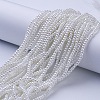 Glass Pearl Beads Strands HY-3D-B01-4