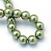 Baking Paint Pearlized Glass Pearl Round Bead Strands X-HY-Q003-6mm-49-4