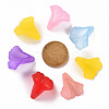 Transparent Acrylic Bead Caps PL551M-5