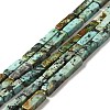 Natural African Turquoise(Jasper) Beads Strands G-F729-01-1