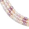 Electroplated Shell Pearl Beads Strands BSHE-H113-06A-01-3
