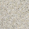 8/0 Glass Seed Beads X1-SEED-A005-3mm-21-2