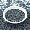 MIYUKI Round Rocailles Beads SEED-G007-RR0456-2