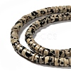 Natural Dalmatian Jasper Beads Strands G-L528-10-3