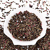 Electroplate Glass Seed Beads GLAA-SZC0007-01C-1