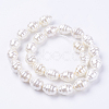 Shell Pearl Beads Strands BSHE-L035-D01-2