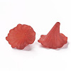 Transparent Acrylic Beads X-BSF796-C12-2